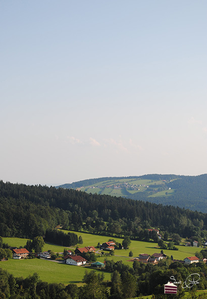 Auslick vom Baumwipfelpfad