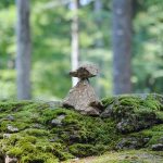 Tierfreigehege Bayerischer Wald