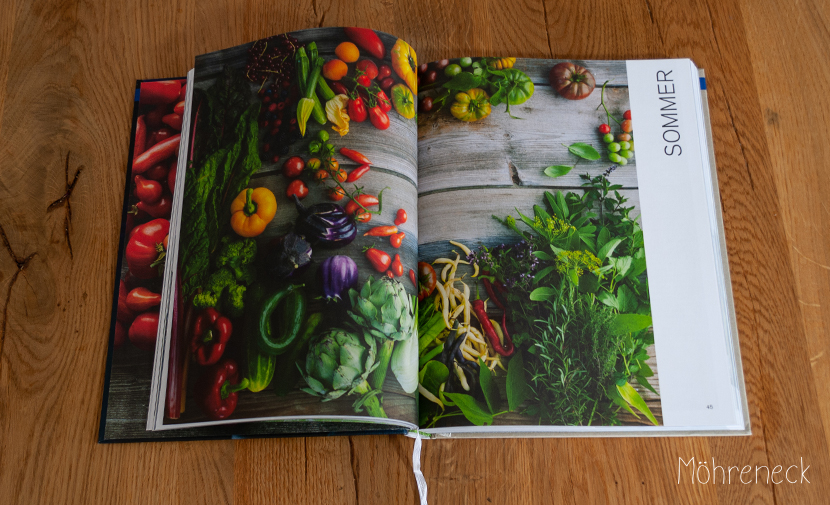 Rezension-Das-vegetarische-Kochbuch